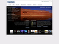 Web TV