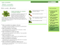 Infos à propos des huiles essentielles sur huiles-essentielles.pro Infos à propos des huiles essentielles sur huiles-essentielles.pro