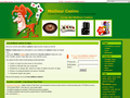 Meilleur Casino : les meilleurs casinos, poker, jeux en ligne