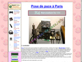 Pose de puce à Paris Pose de puce à Paris