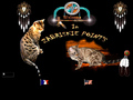 Elevage de Bengals of Zabriskie Point