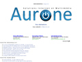 Aurone.com : Agence web : D&eacute;veloppements offshore et nearshore