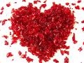 saint valentin