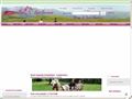 Equi-Services : magasin d'&eacute;quitation