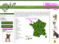 Noé 17 : Consultez nos annonces animaux gratuites Noé 17 : Consultez nos annonces animaux gratuites