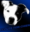Photo Jointe