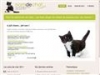 Des noms de chats par milliers
