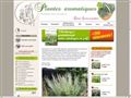 Plantes aromatiques et herbes aromatiques pour votre jardin