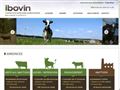 Bienvenue sur iBovin - Achat / vente / annonces de bovins entre profes Bienvenue sur iBovin - Achat / vente / annonces de bovins entre profes