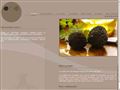 Truffe du P&eacute;rigord