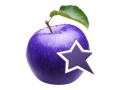 BIZALLIANCE - NICE APPS | Bienvenue dans la vie sans PC !