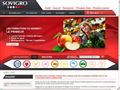 SOVIGRO | Audit - Conseil - Formation SOVIGRO | Audit - Conseil - Formation